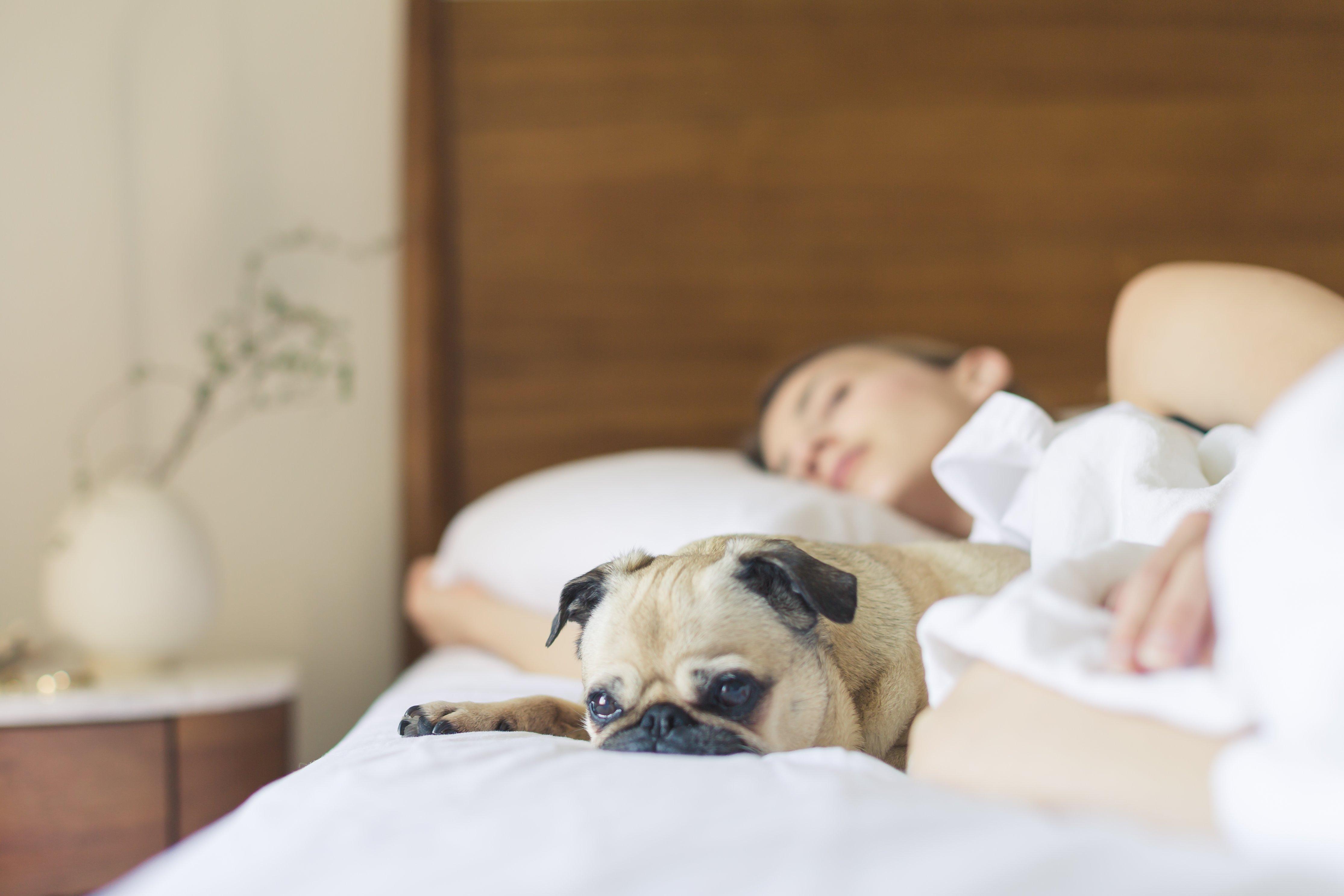 Holiday Inn Express Tucson-Airport By Ihg Exteriör bild
